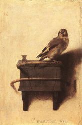 The Goldfinch - Carel Fabritius oil painting